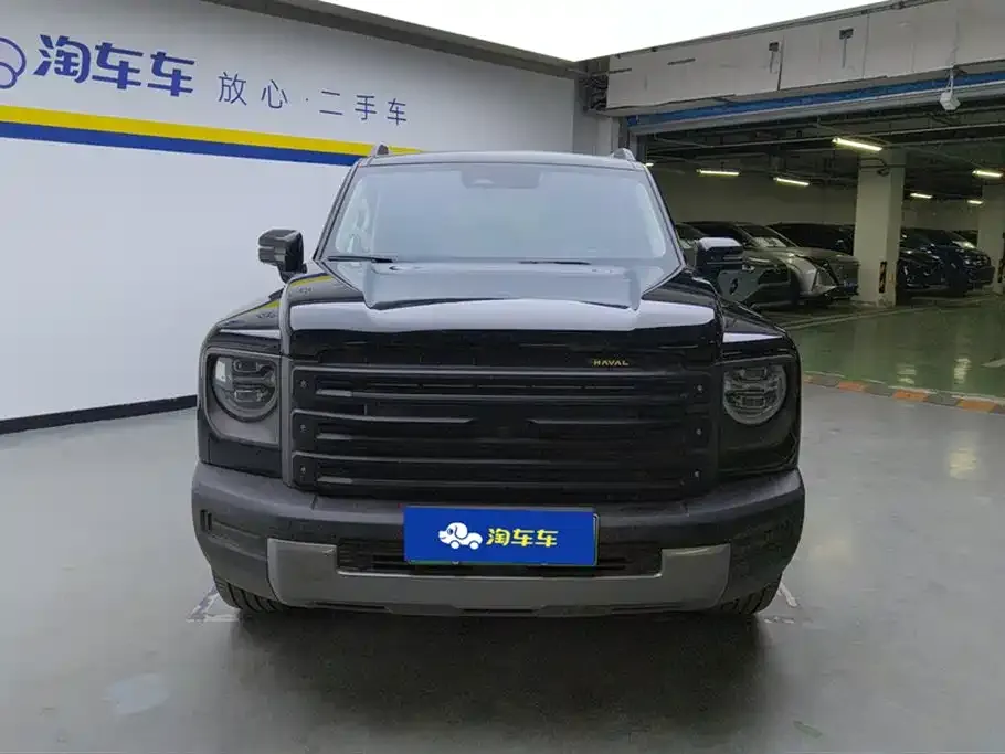 Haval Menglong New Energy 2024 из CN, фото 6