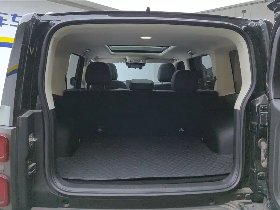 Haval Menglong New Energy 2024 из CN, фото 8