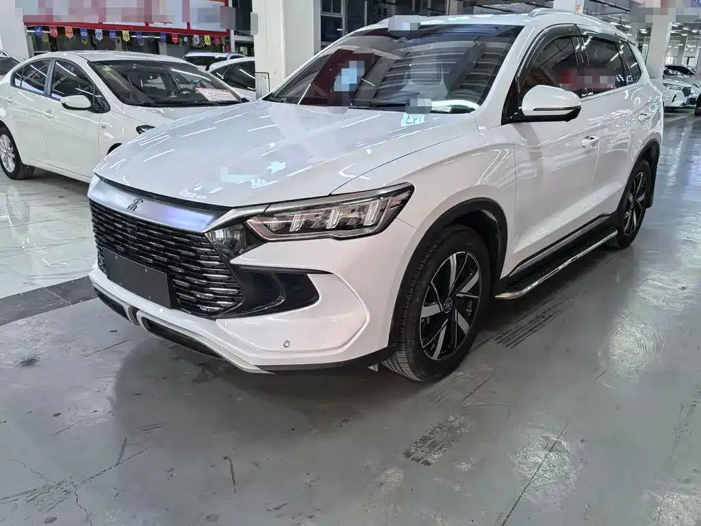 BYD Pro New Energy — фото 1