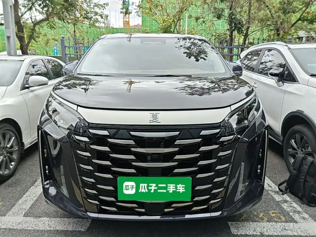 BYD Xia 2025 из CN, фото 4
