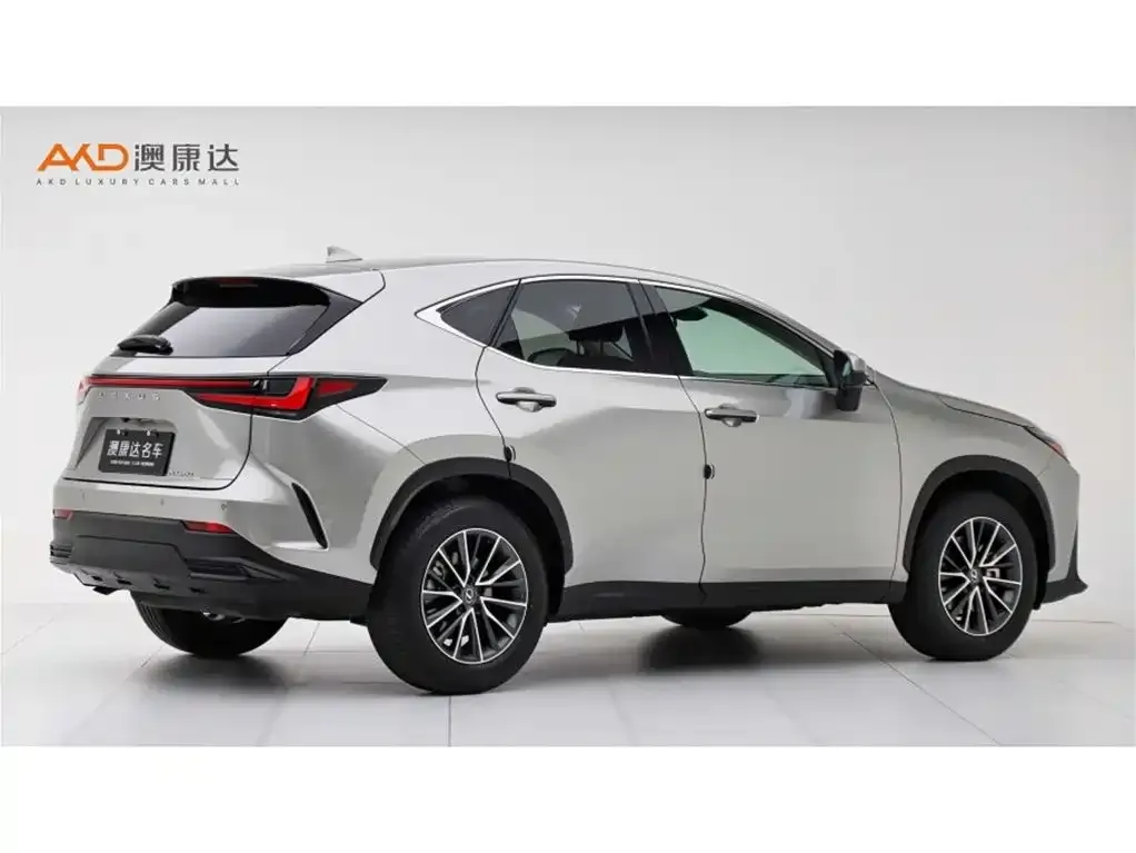 Lexus NX — фото 10
