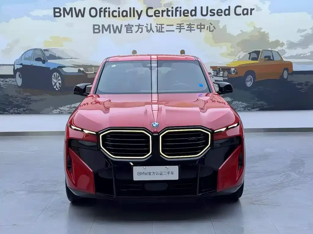 BMW XM 2023 из CN, фото 2