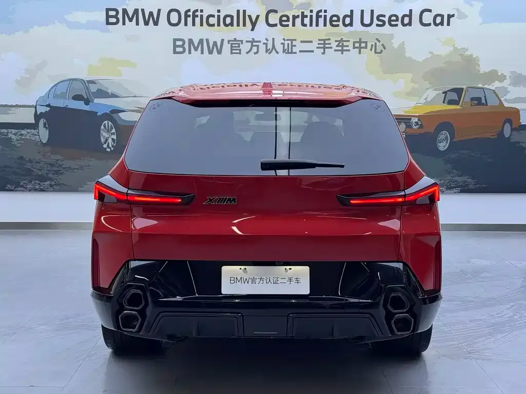 BMW XM 2023 из CN, фото 6
