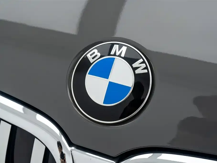 BMW 7 Series 2021 из CN, фото 10