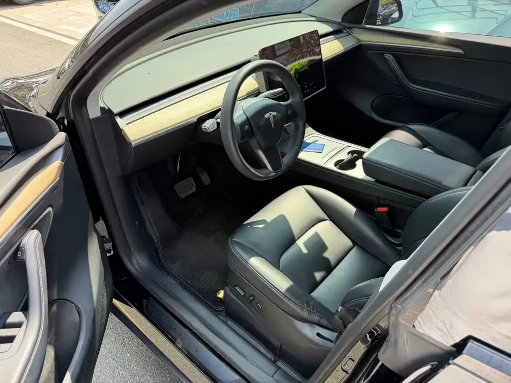 Tesla Model Y — фото 9