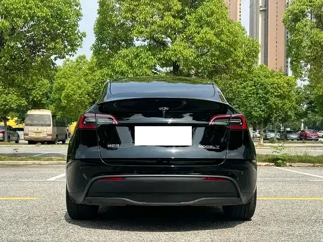 Tesla Model Y — фото 4
