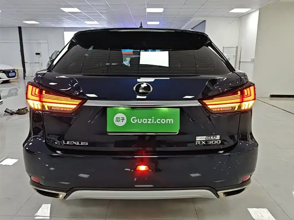 Lexus RX — фото 5