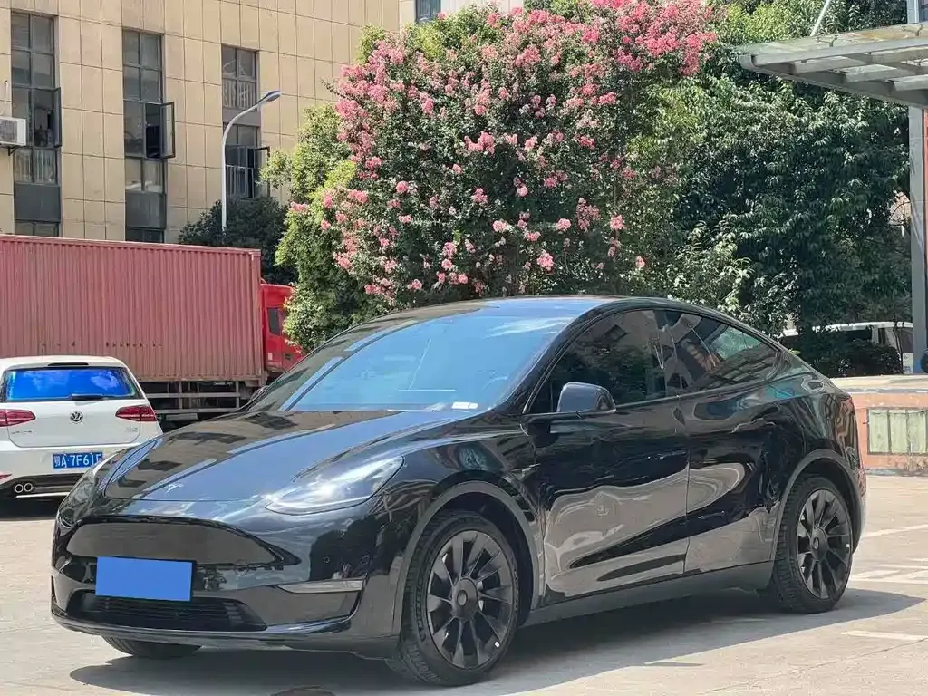Tesla Model Y — фото 1