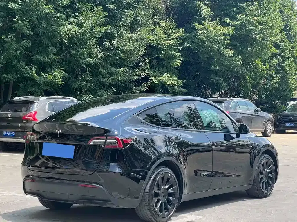 Tesla Model Y — фото 6