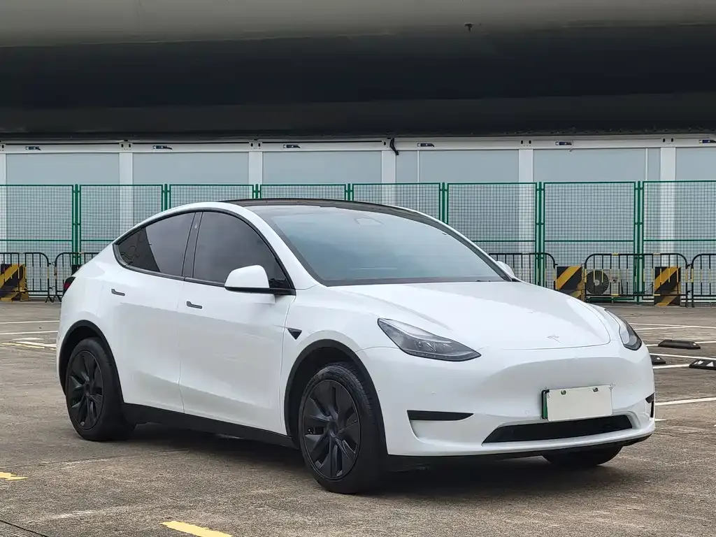 Tesla Model Y — фото 4