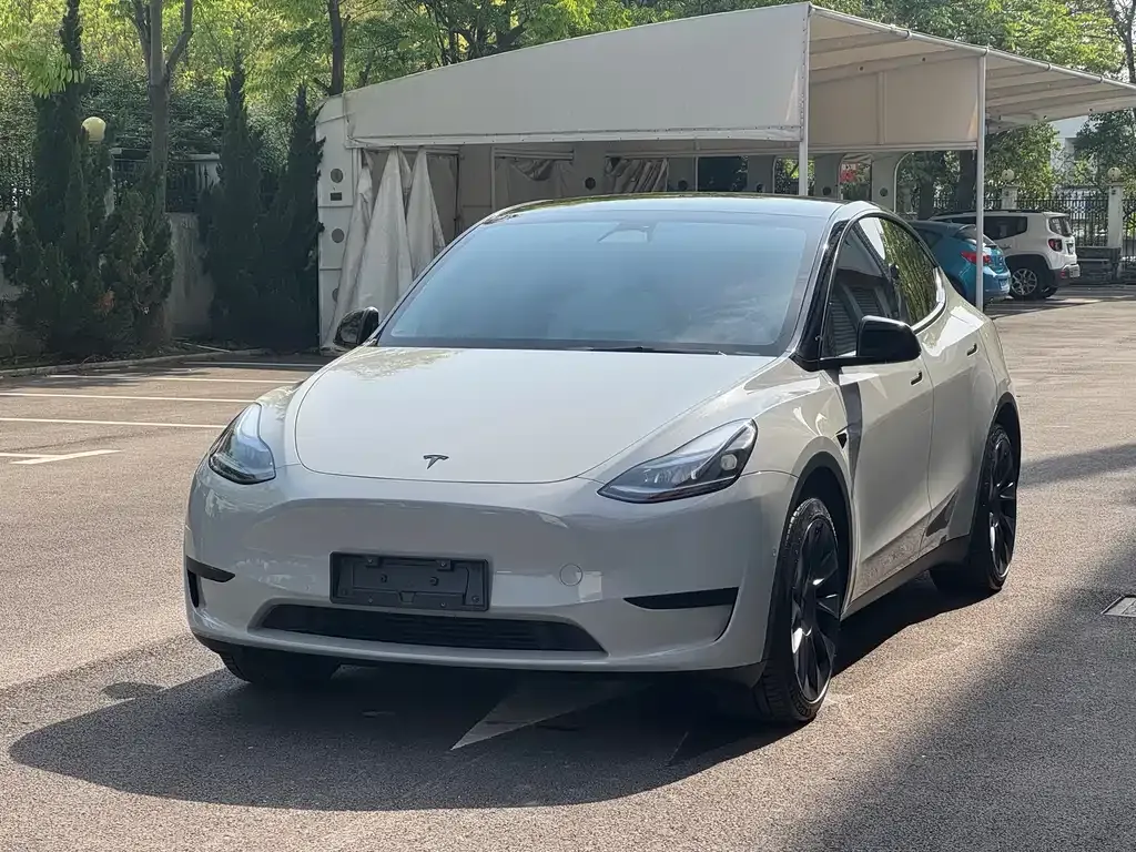 Tesla Model Y — фото 1