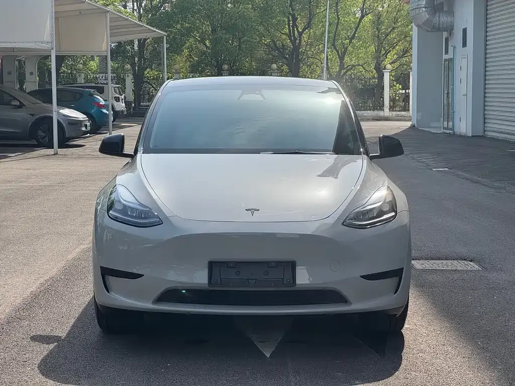 Tesla Model Y — фото 5