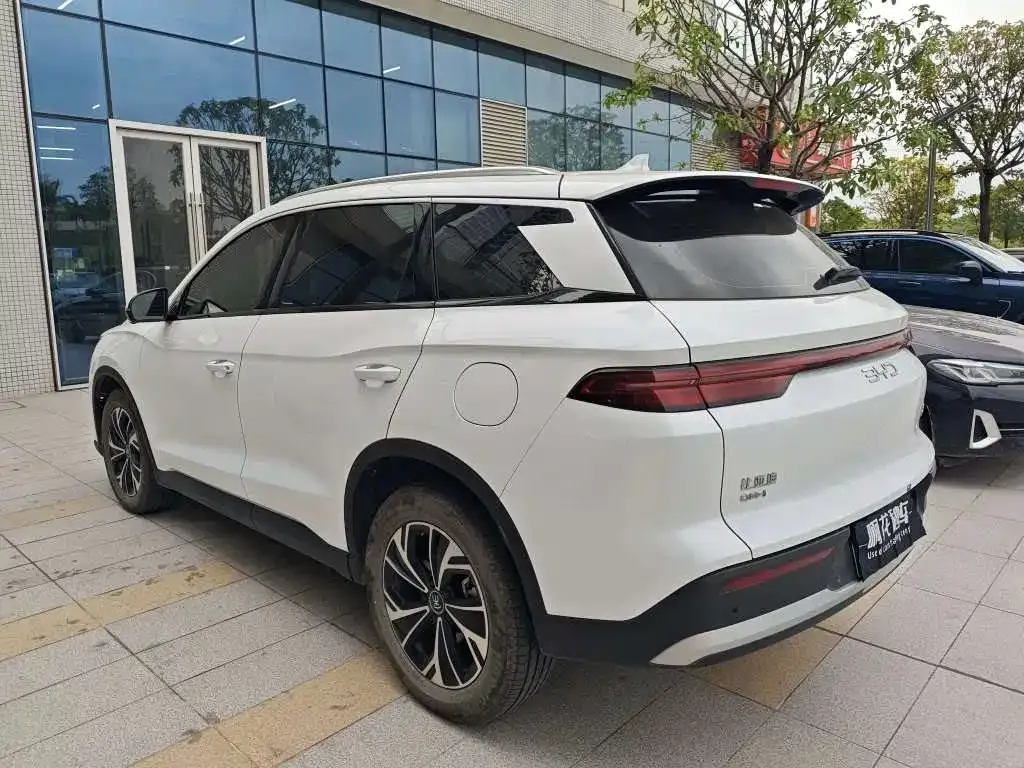 BYD Pro New Energy — фото 8