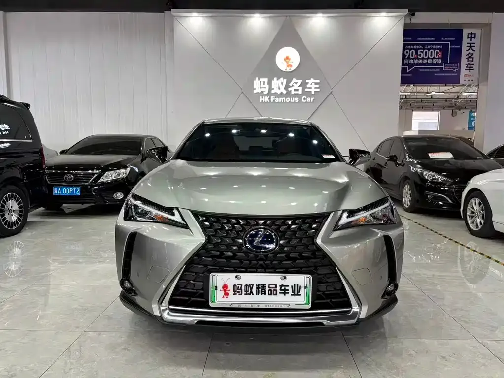 Lexus UX New Energy 2021 из CN, фото 10