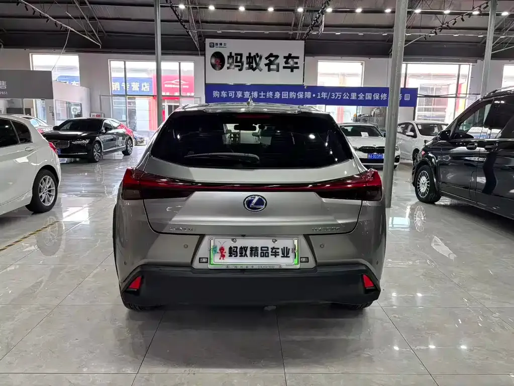 Lexus UX New Energy 2021 из CN, фото 8