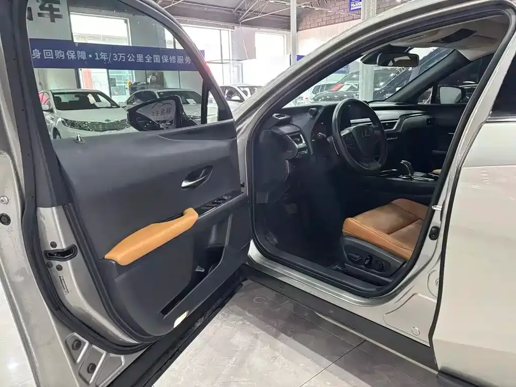 Lexus UX New Energy 2021 из CN, фото 4