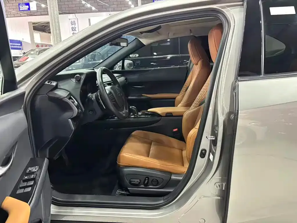 Lexus UX New Energy 2021 из CN, фото 7