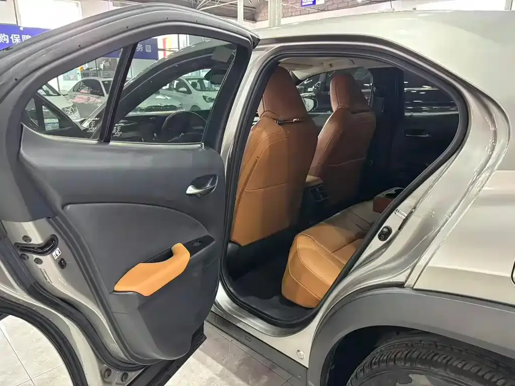 Lexus UX New Energy 2021 из CN, фото 5