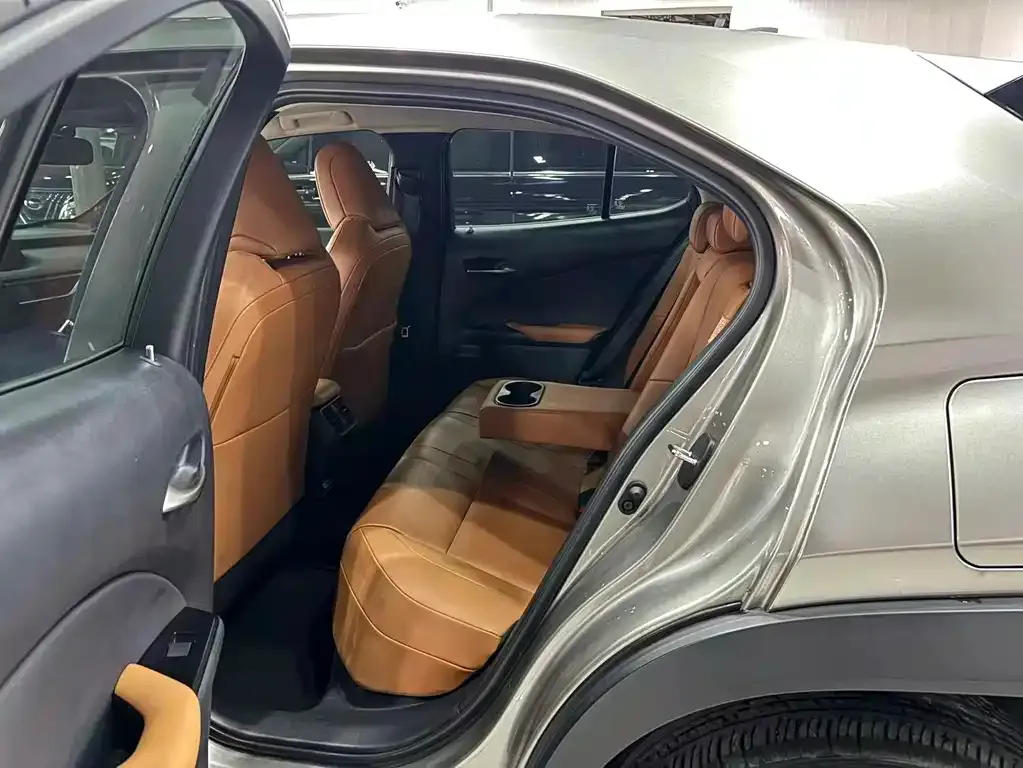 Lexus UX New Energy 2021 из CN, фото 3