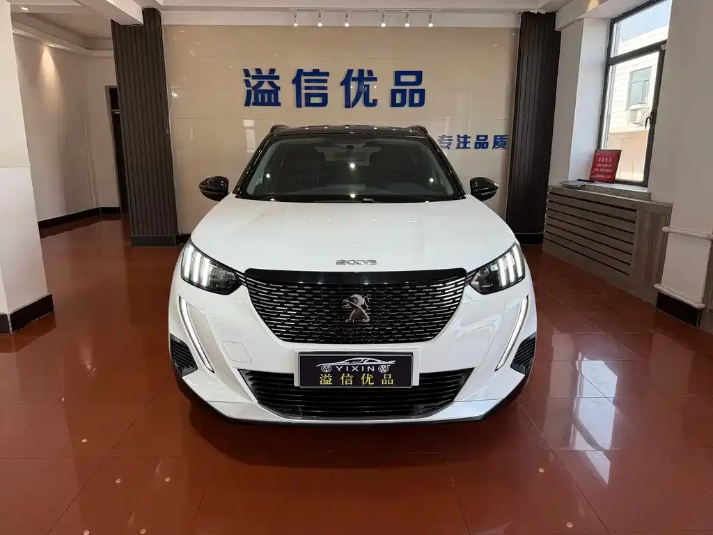 Peugeot 2008 2023 из CN, фото 4