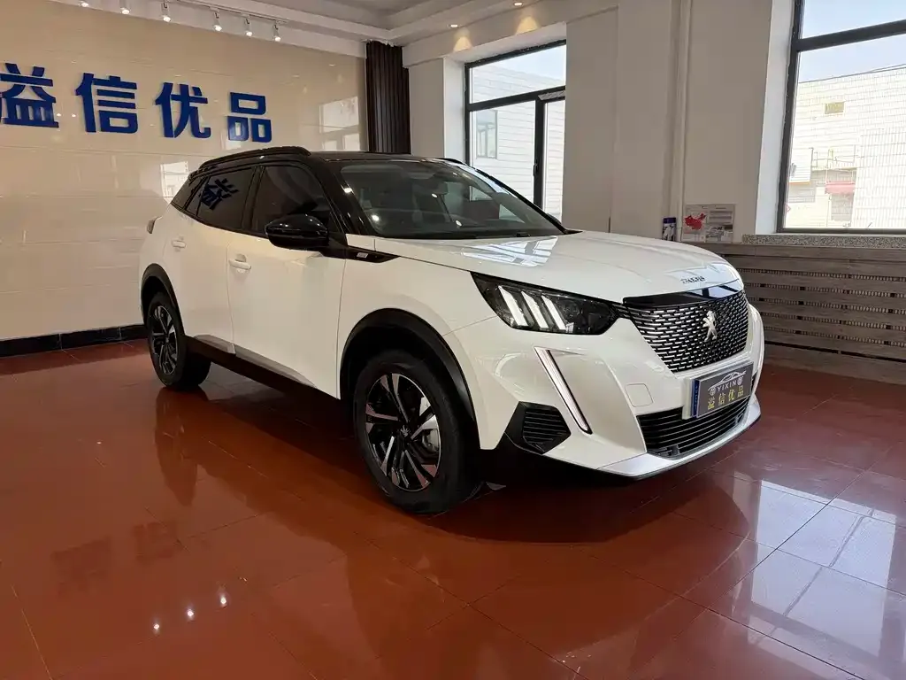 Peugeot 2008 2023 из CN, фото 8