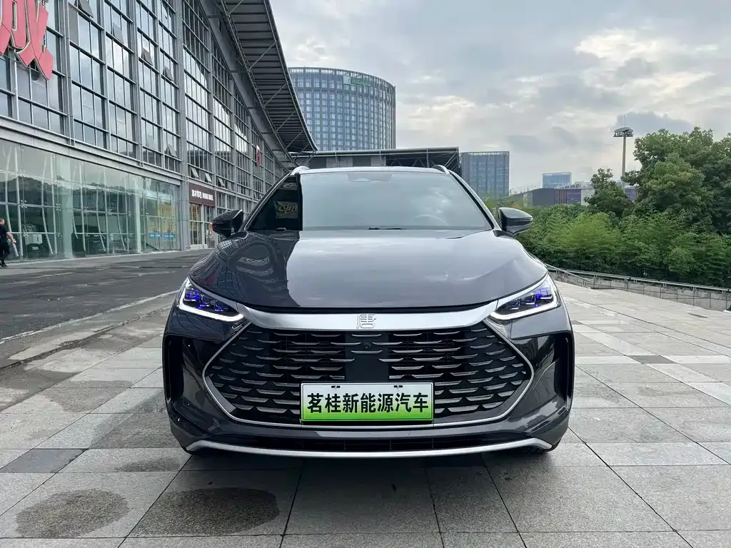 BYD Tang New Energy — фото 9