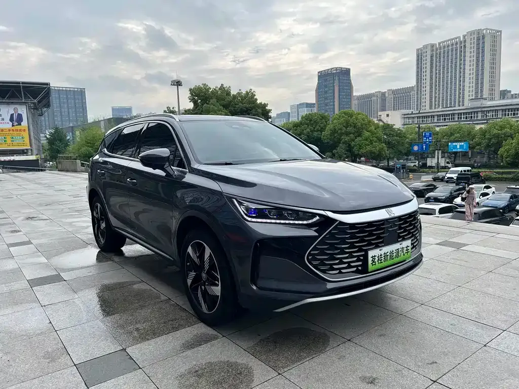 BYD Tang New Energy — фото 4
