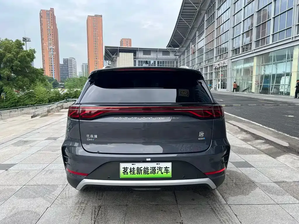 BYD Tang New Energy — фото 6