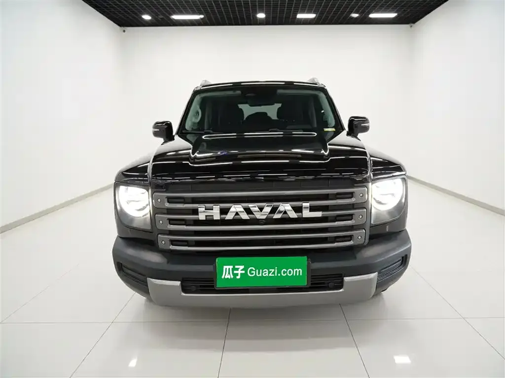 Haval Menglong New Energy — фото 2