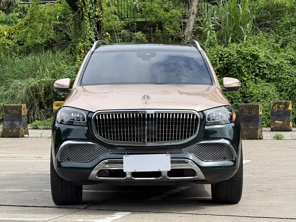 Mercedes-Benz GLS — фото 1