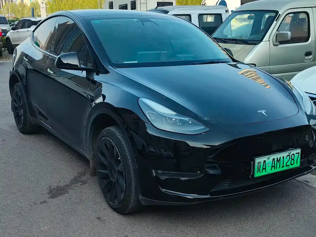 Tesla Model Y — фото 4