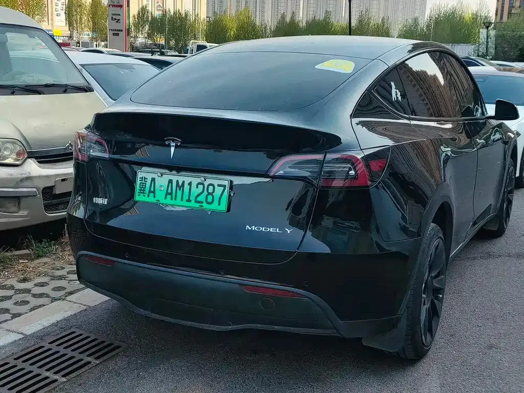 Tesla Model Y — фото 5