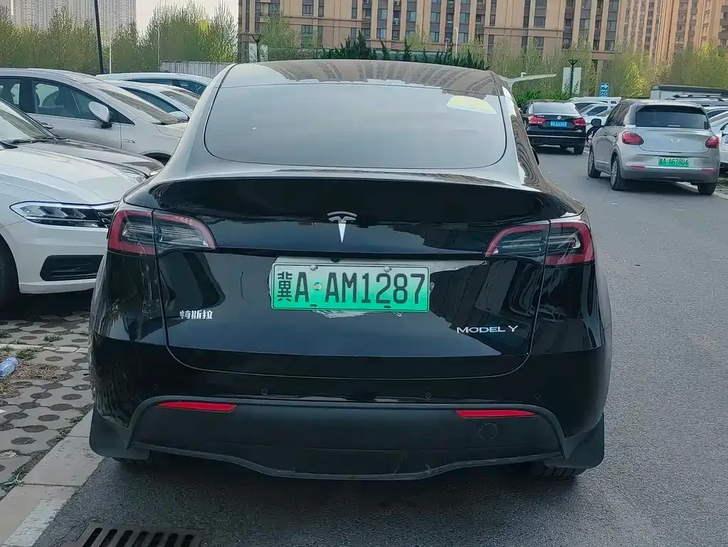 Tesla Model Y — фото 3