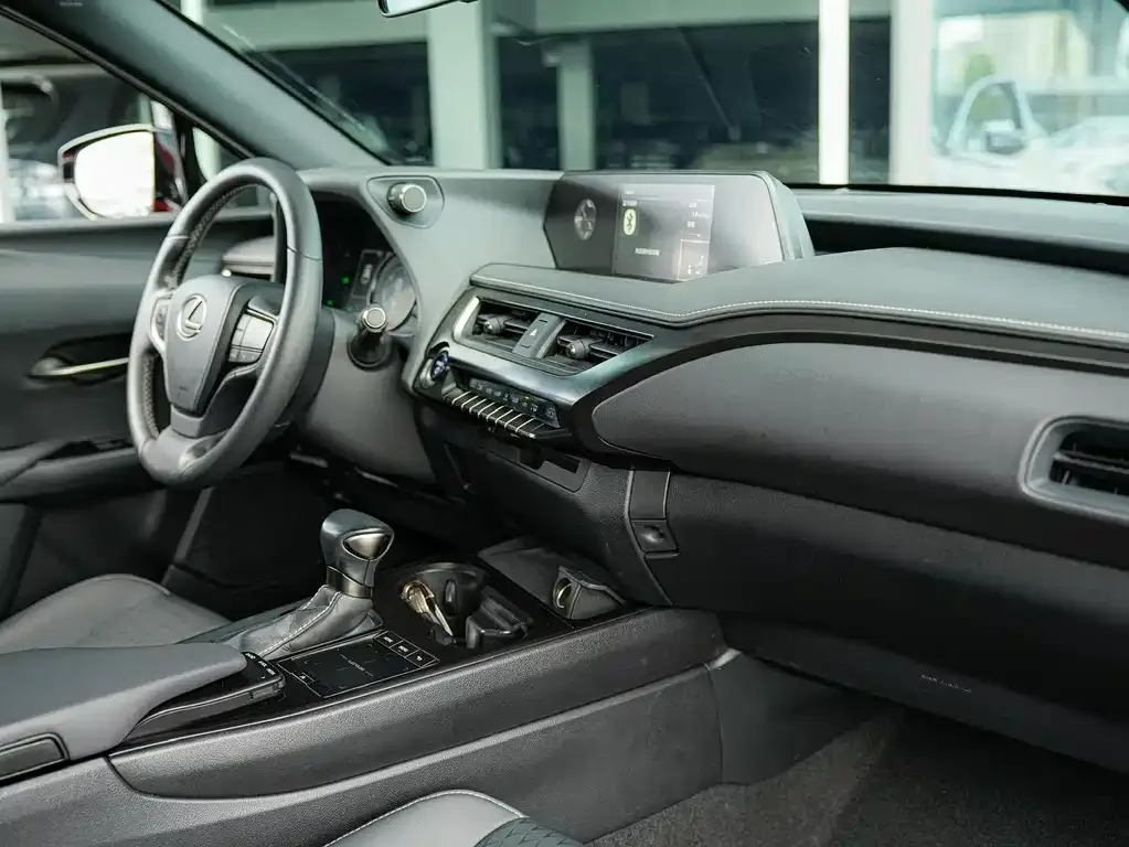 Lexus UX 2021 из CN, фото 10