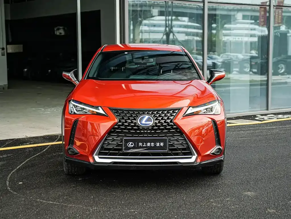 Lexus UX 2021 из CN, фото 4