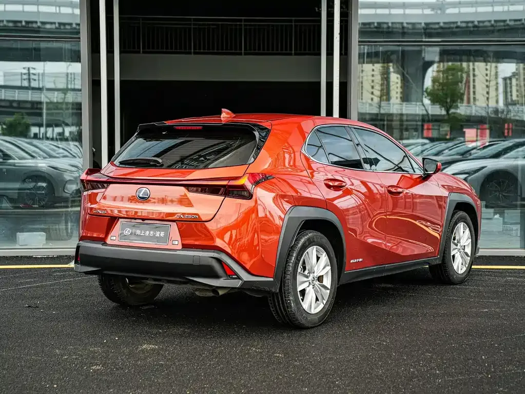 Lexus UX 2021 из CN, фото 9