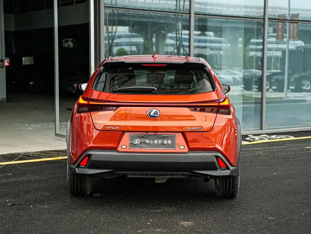 Lexus UX 2021 из CN, фото 7
