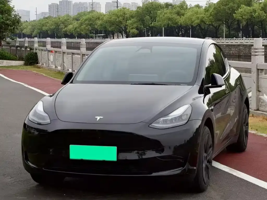 Tesla Model Y — фото 8