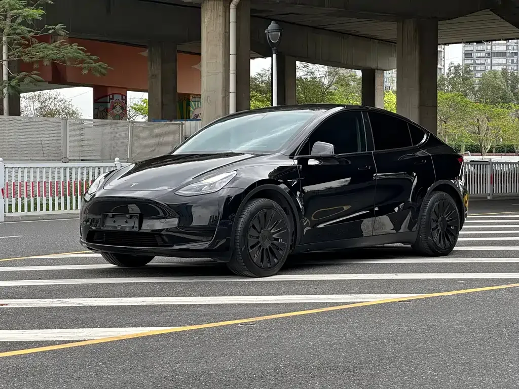 Tesla Model Y — фото 1