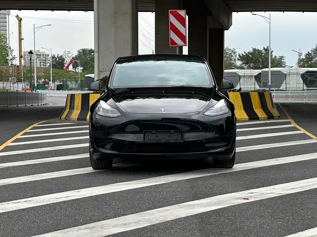 Tesla Model Y — фото 9