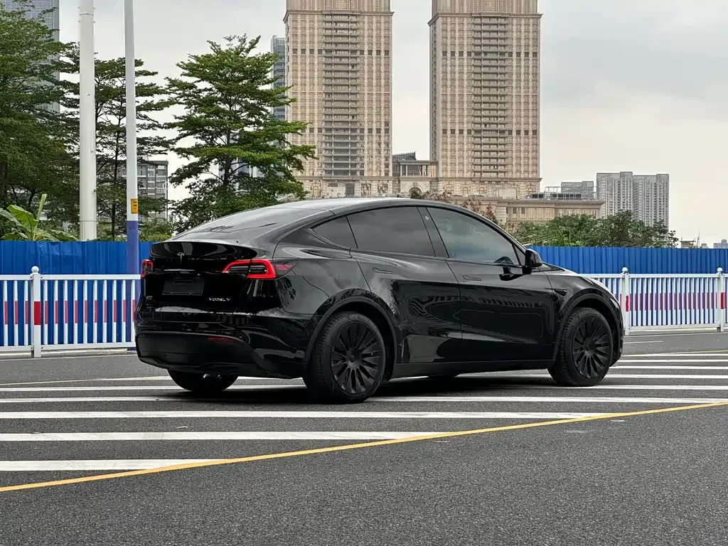 Tesla Model Y — фото 10