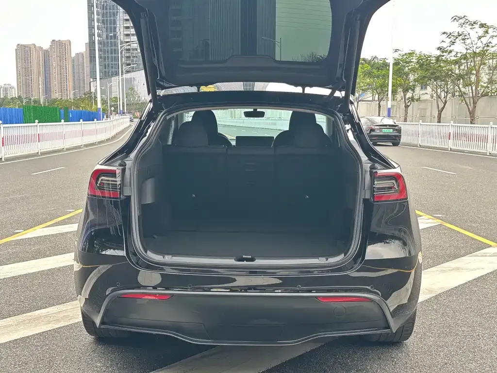 Tesla Model Y — фото 5