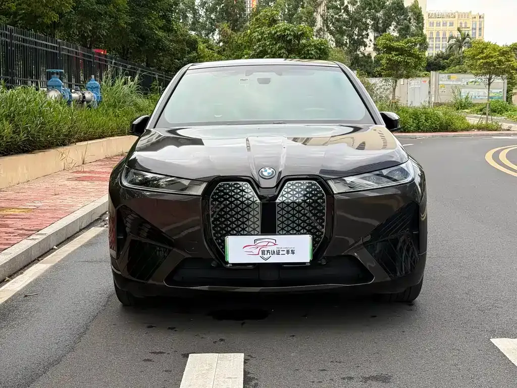 BMW iX 2023 из CN, фото 5