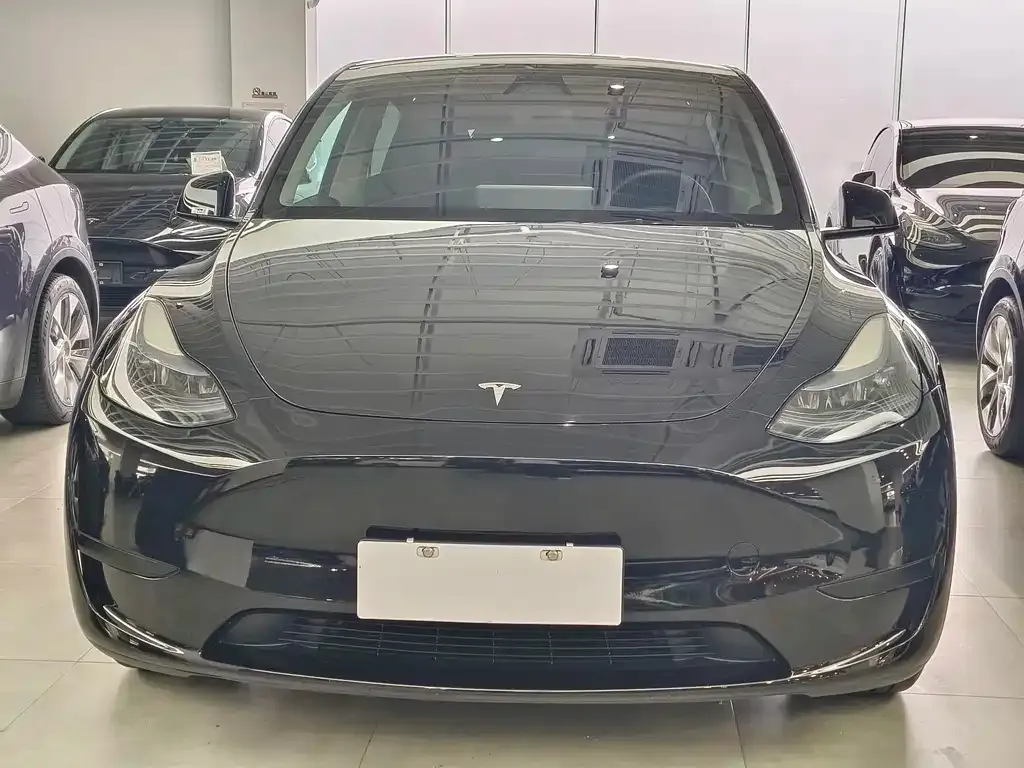 Tesla Model Y — фото 9