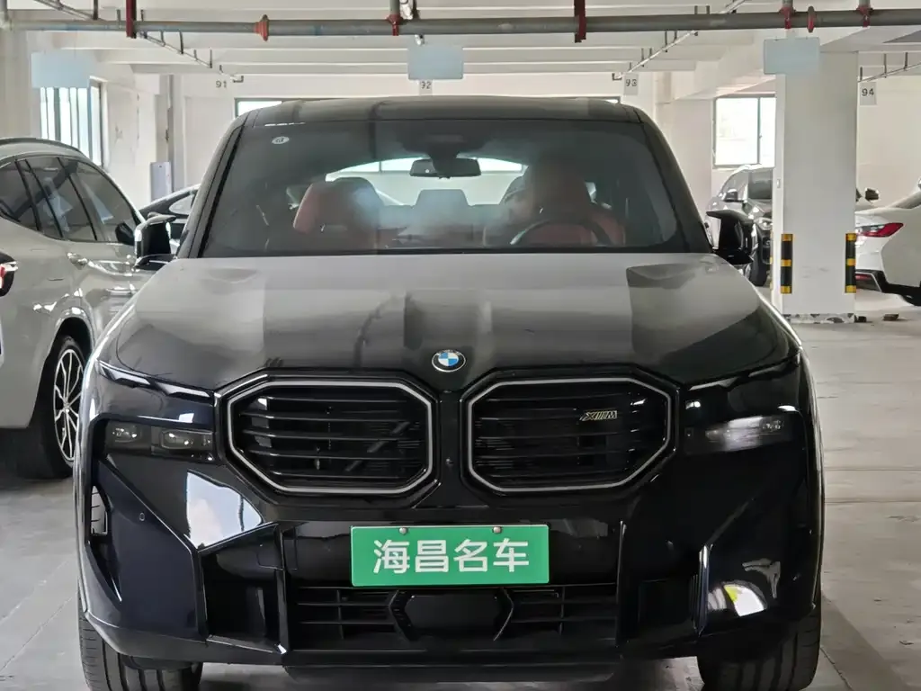 BMW XM 2024 из CN, фото 8
