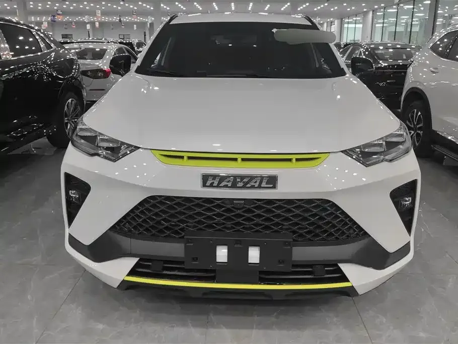 Haval H6S 2023 из CN, фото 9