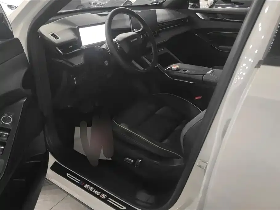 Haval H6S 2023 из CN, фото 10