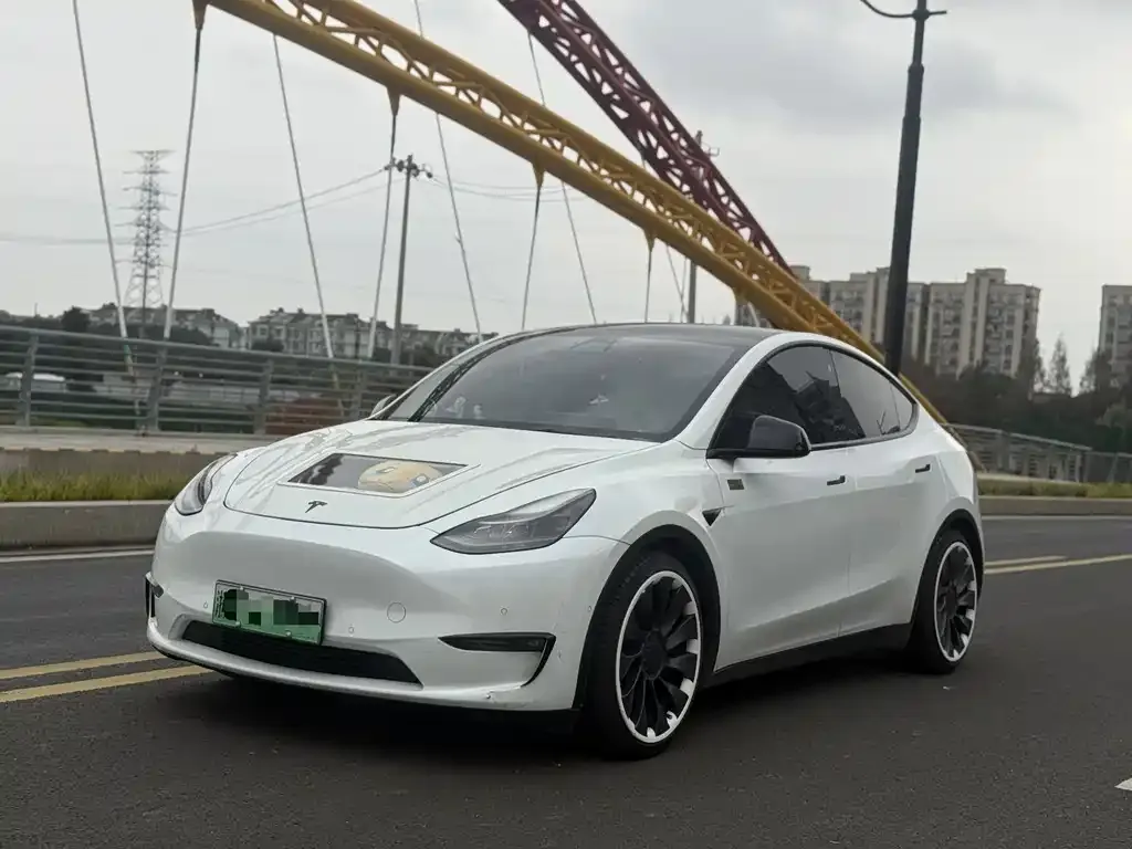 Tesla Model Y — фото 1