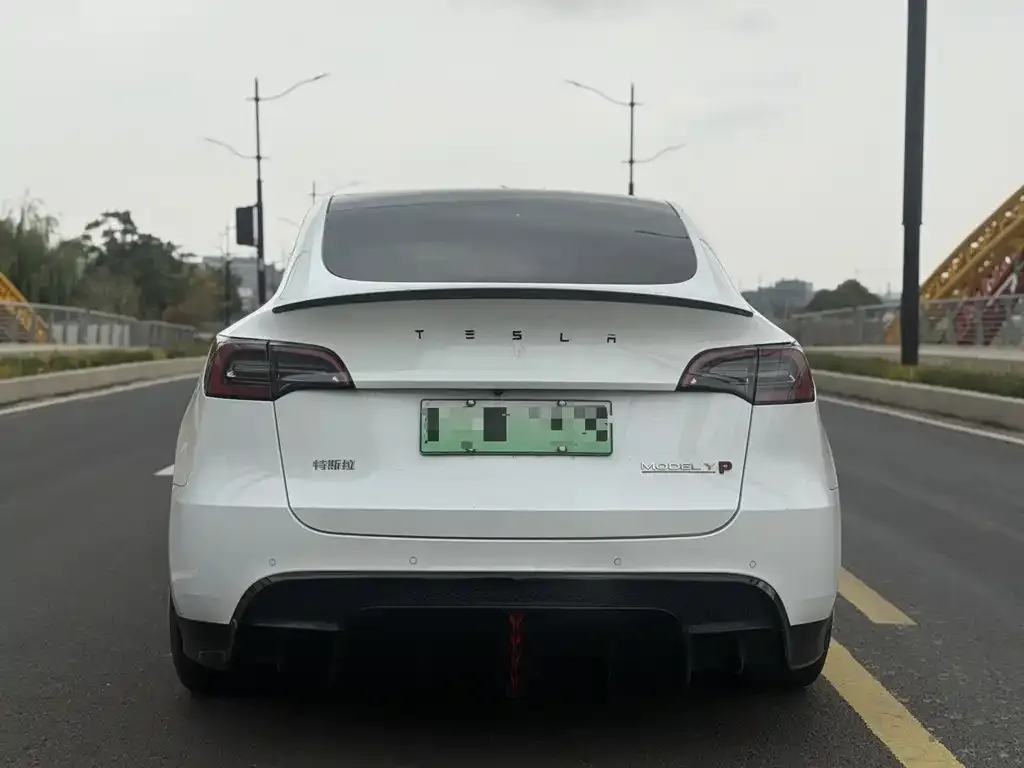 Tesla Model Y — фото 2