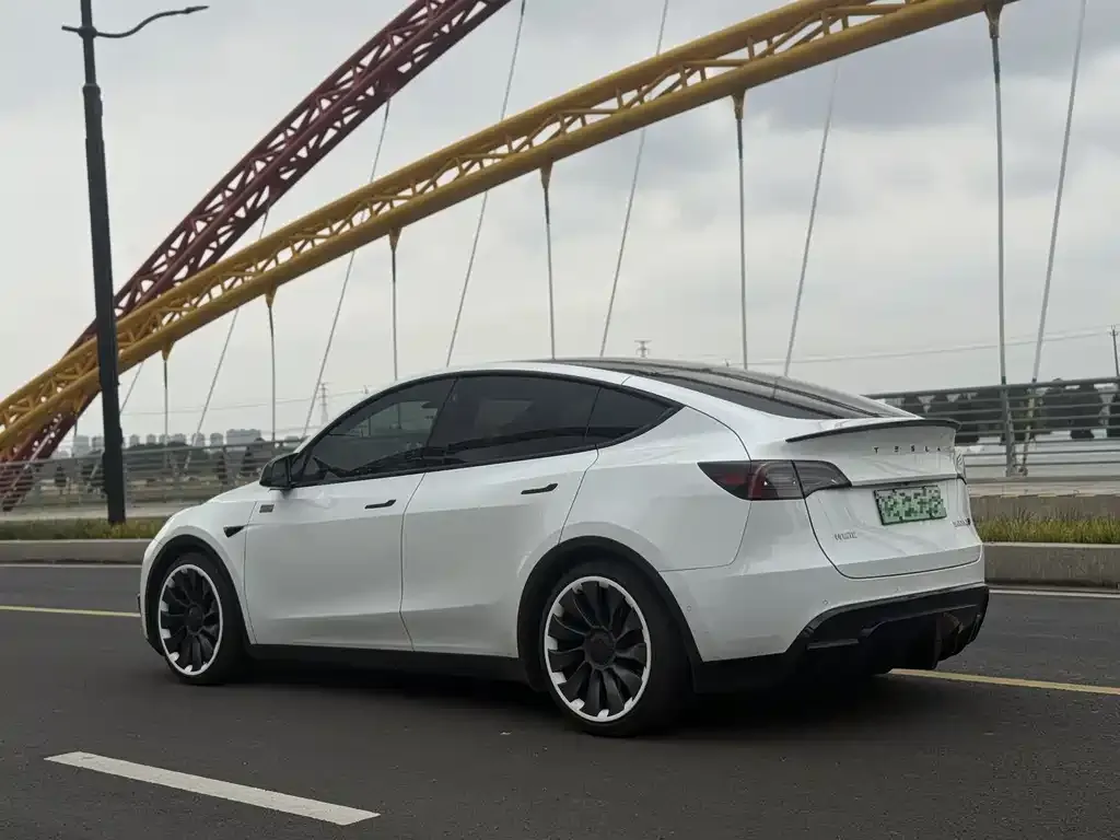 Tesla Model Y — фото 9